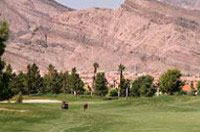 Palm Valley