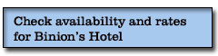 binions hotel reservation