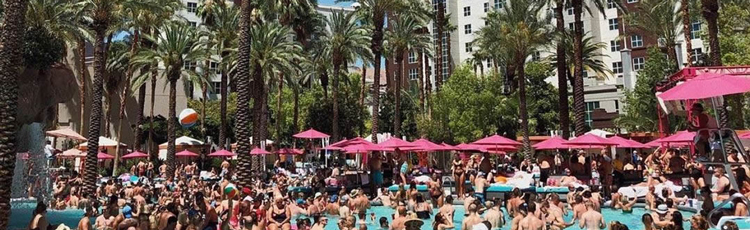 Pool at Flamingo Hotel & Casino, Las Vegas