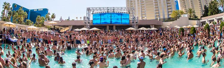 Wet Republic Ultra Pool at The MGM Grand