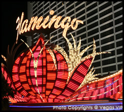 flamingo hotel 