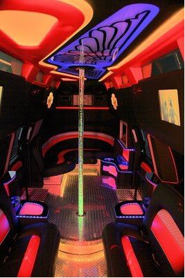 harley Limousine interior