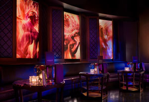 marquee bottle service