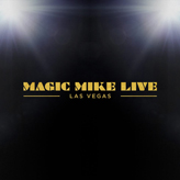 magic mike live